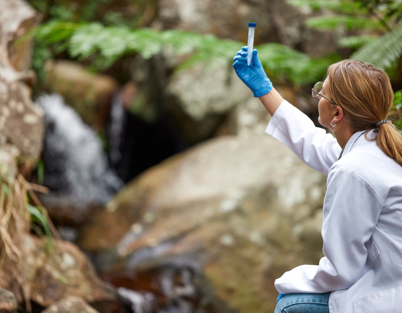 Scientist examining a freshwater sample beside a stream